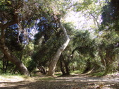 Enlarge photo 60