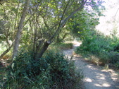 Enlarge photo 61