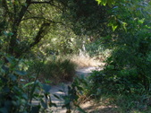 Enlarge photo 62
