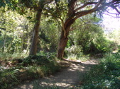Enlarge photo 63