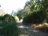 Enlarge photo 64