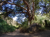 Enlarge photo 65