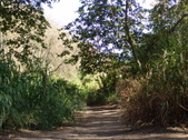 Enlarge photo 66