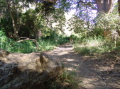 Enlarge photo 67