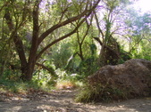 Enlarge photo 68