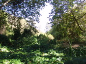 Enlarge photo 69