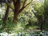 Enlarge photo 70