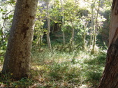Enlarge photo 71