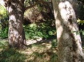 Enlarge photo 72