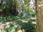 Enlarge photo 73