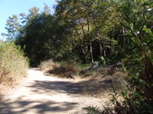 Enlarge photo 74