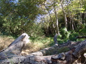 Enlarge photo 76
