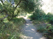 Enlarge photo 77