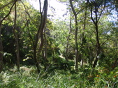 Enlarge photo 78
