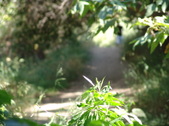 Enlarge photo 79
