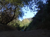 Enlarge photo 81