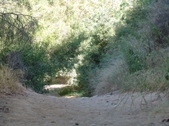 Enlarge photo 82