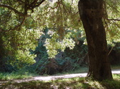 Enlarge photo 84