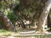 Enlarge photo 86