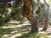 Enlarge photo 87