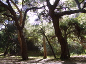 Enlarge photo 88