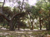 Enlarge photo 89