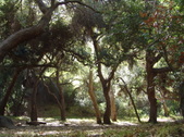 Enlarge photo 90