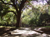 Enlarge photo 91