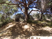 Enlarge photo 92