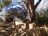 Enlarge photo 94