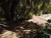 Enlarge photo 95