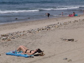 Enlarge photo 81