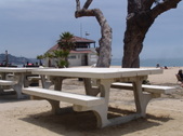 Enlarge photo 105
