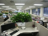 Enlarge photo 19