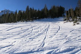 Enlarge photo 25