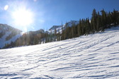 Enlarge photo 30