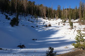Enlarge photo 31