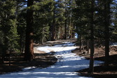 Enlarge photo 37