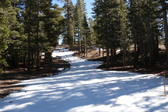 Enlarge photo 39