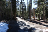 Enlarge photo 40