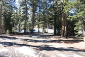 Enlarge photo 41