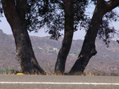 Enlarge photo 30