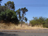 Enlarge photo 33
