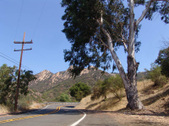 Enlarge photo 34