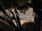 Enlarge photo 38