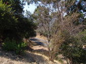 Enlarge photo 39