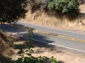 Enlarge photo 40