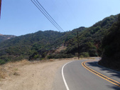 Enlarge photo 41