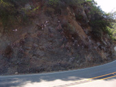 Enlarge photo 43