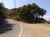 Enlarge photo 44